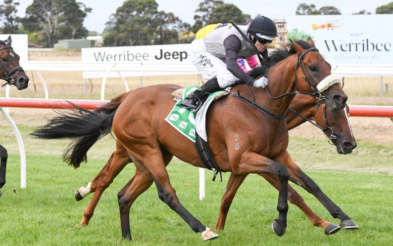 Royal Ascot: Where Racing Meets Royalty
