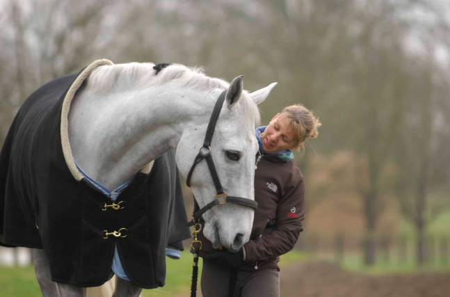 Roles of Stable Workers and Handlers