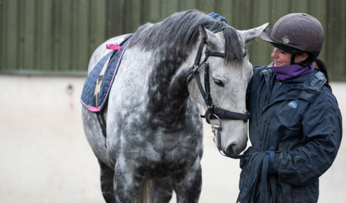 Retraining Former Racehorses